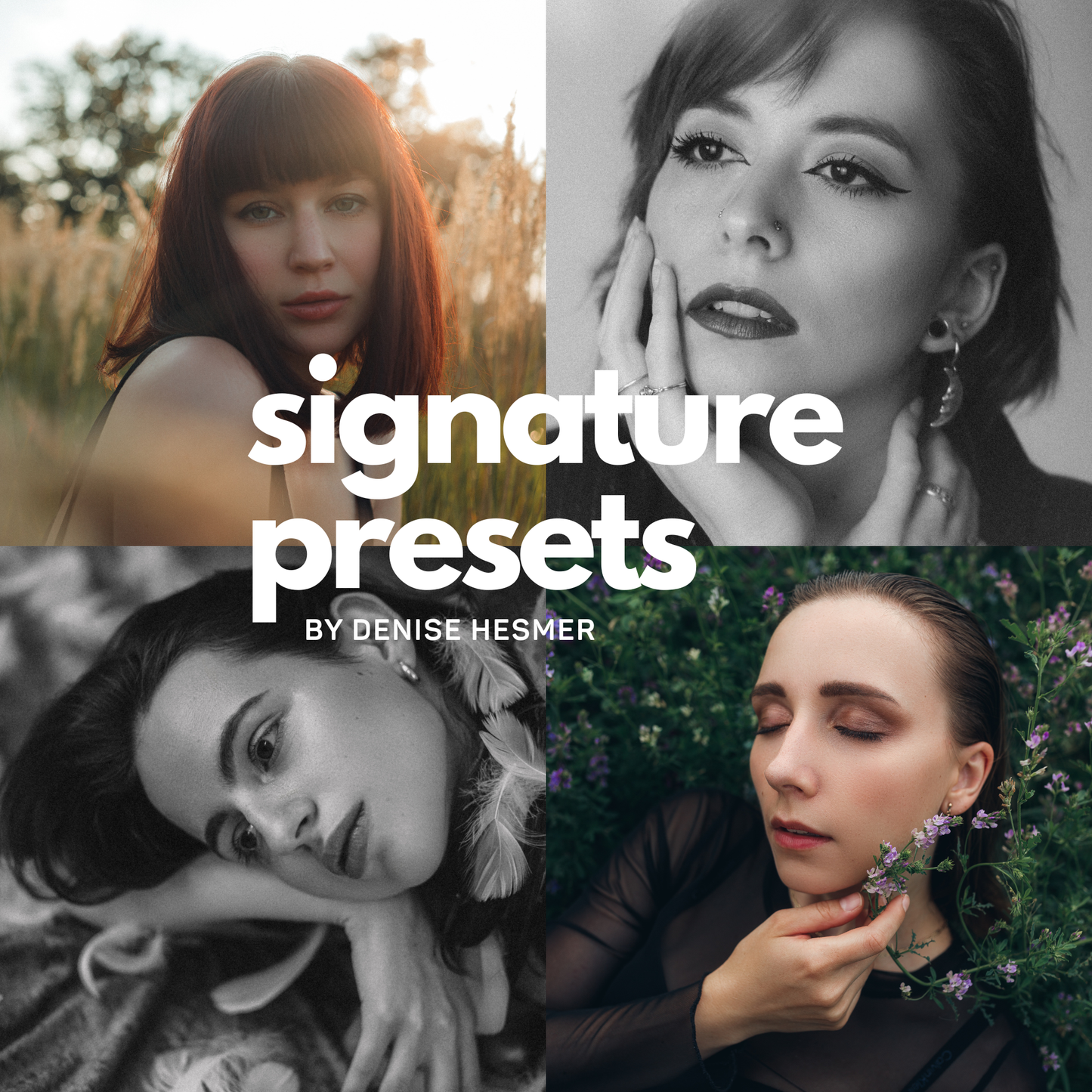 Signature Presets by Denise Hesmer